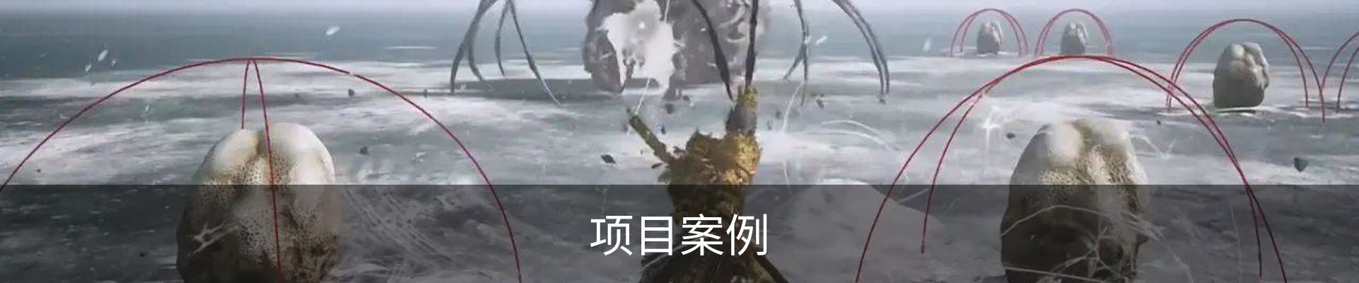 项目案例